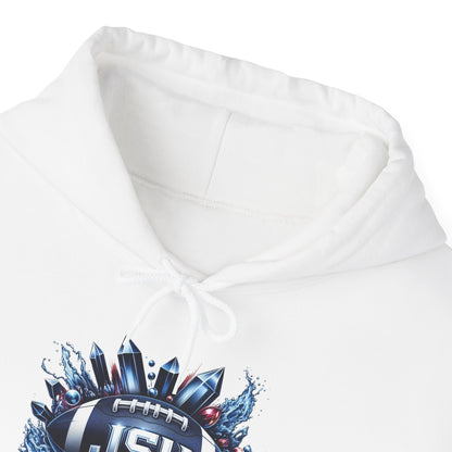 Jackson State University Hoodie, Jackson State Hooded Sweatshirt, JSU Tigers Football Sweatshirt, SWAC, College Team Apparel