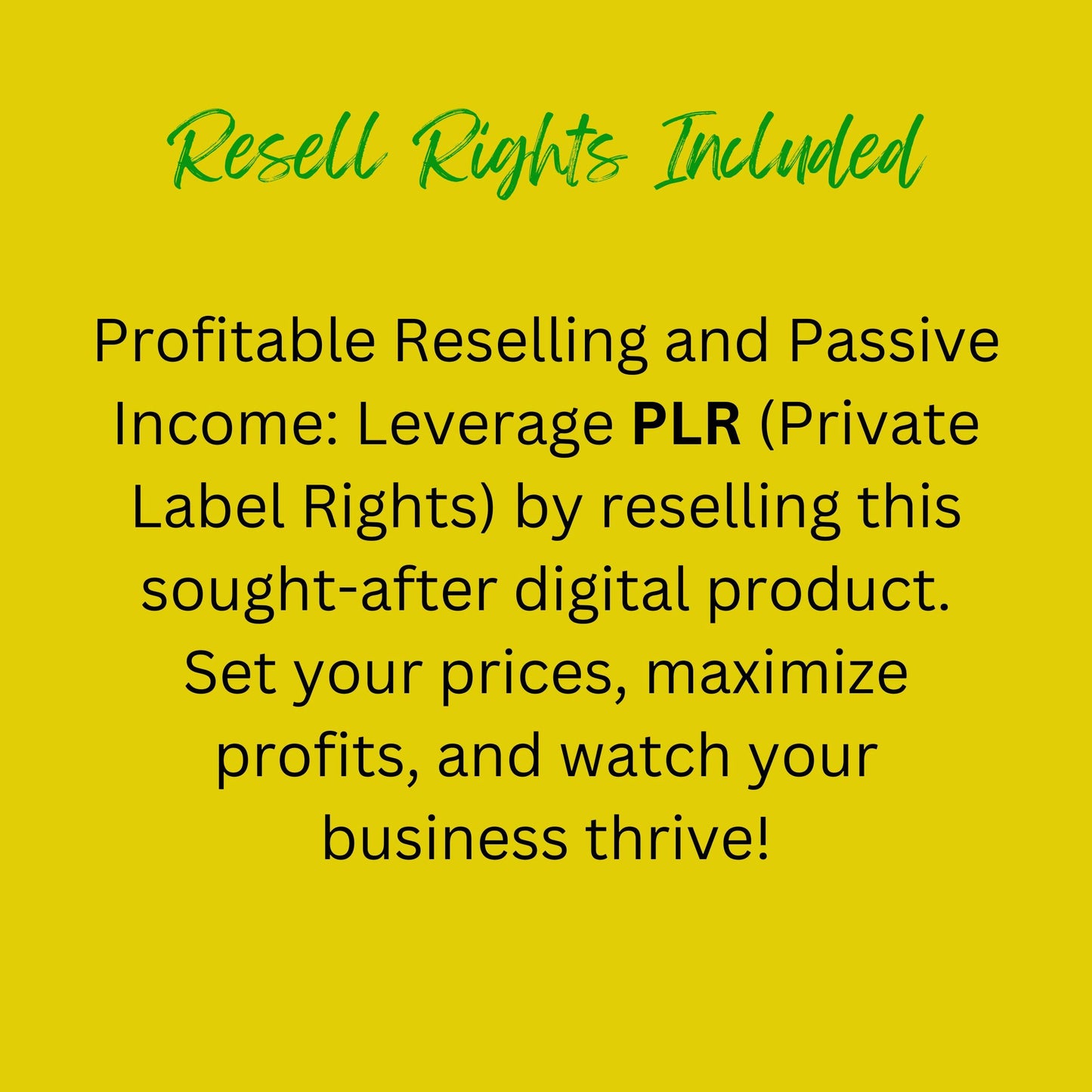 PLR Business Planner: Editable Entrepreneur Organizer (Canva Template)